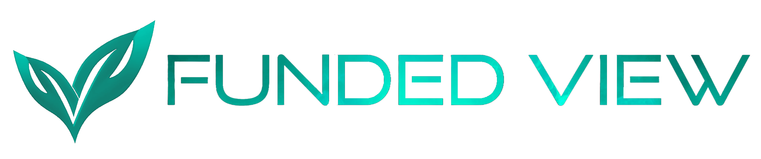 FundedView_Logo